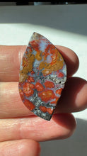Load image into Gallery viewer, Wingate Plume Agate Cabochon
