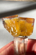 Load image into Gallery viewer, Excellent Minerva Fluorite Crystal Specimen
