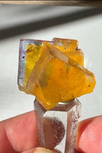 Load image into Gallery viewer, Excellent Minerva Fluorite Crystal Specimen

