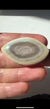 Load image into Gallery viewer, Imperial Jasper Cabochon
