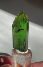 Load and play video in Gallery viewer, Gorgeous Brazilian Tourmaline Crystal
