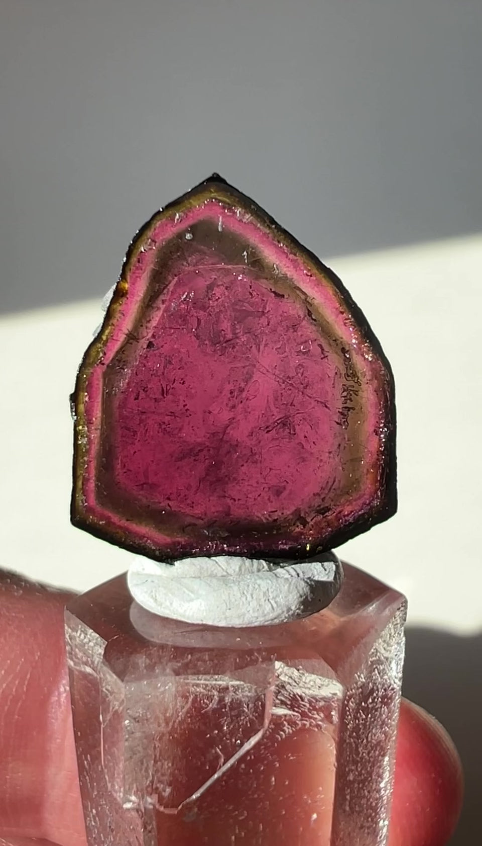 Brazilian Watermelon Tourmaline Slice