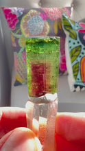 Load and play video in Gallery viewer, Brazilian Watermelon Tourmaline Crystal
