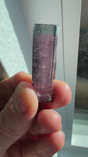 Load and play video in Gallery viewer, Brazilian Tourmaline Crystal
