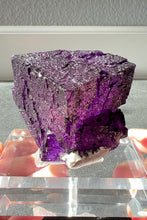 Load and play video in Gallery viewer, Epic Elmwood Fluorite Cube
