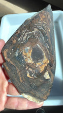 Load and play video in Gallery viewer, Biggs Blue Jasper Rough Slab

