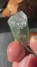 Load and play video in Gallery viewer, Brilliant Agua Branca Tourmaline Crystal
