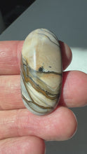 Load and play video in Gallery viewer, Blue Biggs Picture Jasper Cabochon
