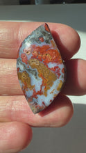 Load and play video in Gallery viewer, Wingate Plume Agate Cabochon
