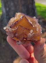 Load and play video in Gallery viewer, Illinois Fluorite Mineral Specimen
