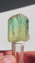 Load and play video in Gallery viewer, Juicy Congo Tourmaline Crystal
