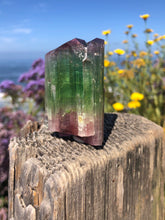 Load image into Gallery viewer, Epic Paprok Tourmaline Crystal
