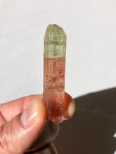 Load image into Gallery viewer, Gemmy Congo Tourmaline Crystal
