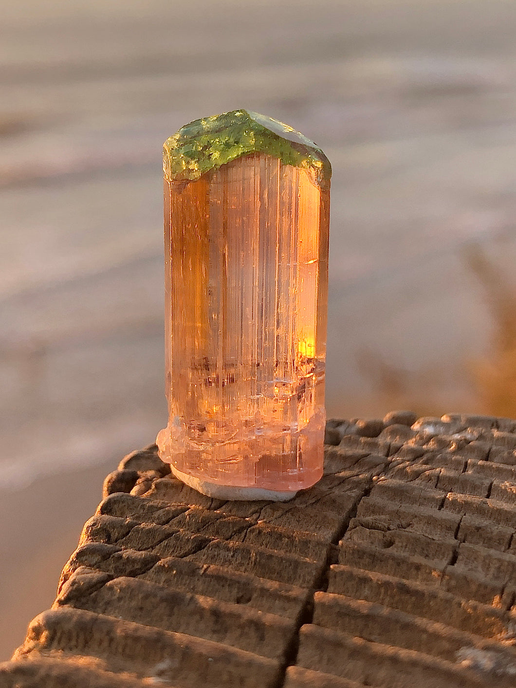 Gem Congo Tourmaline Crystal