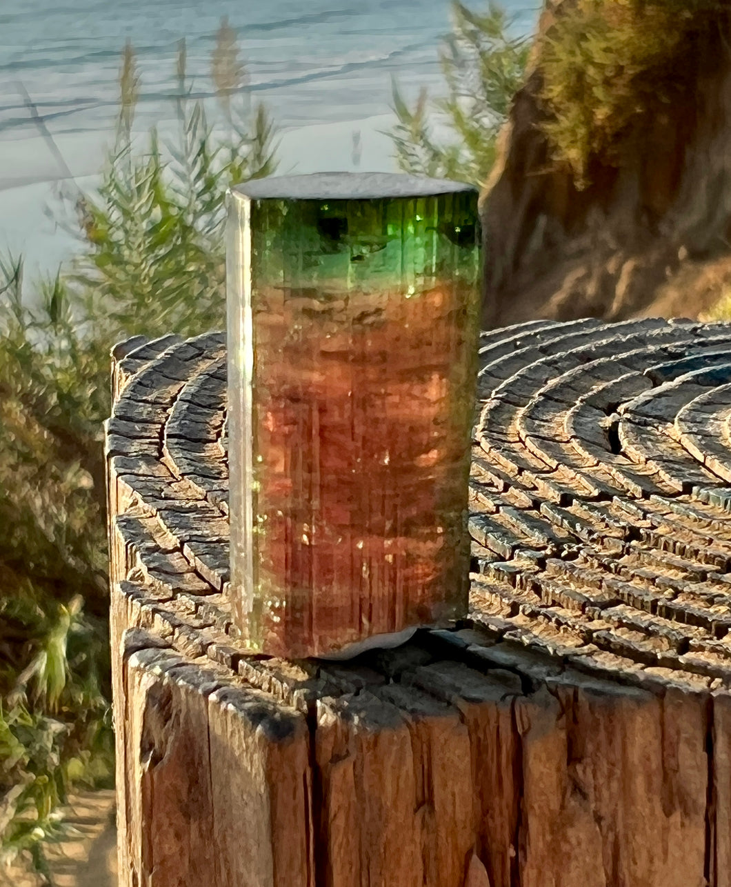 Brazilian Watermelon Tourmaline Crystal